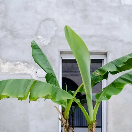 Riposino Casa de Férias